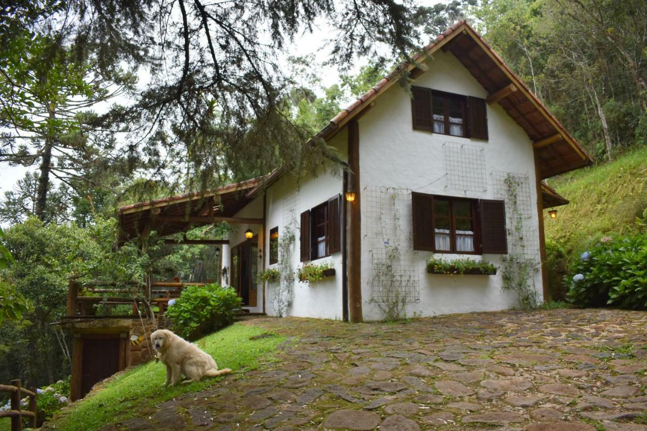 Vila Chalet Da Hortensias Cunha Exteriér fotografie